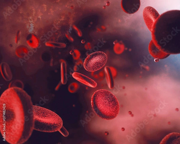 Obraz Floating Blood Cells