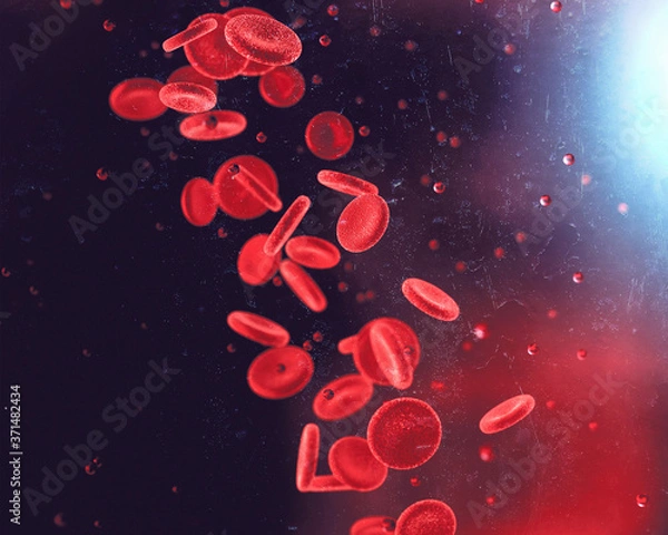 Obraz Blood Cells