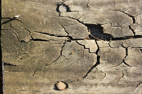 Obraz Wood surface closeup with cracks