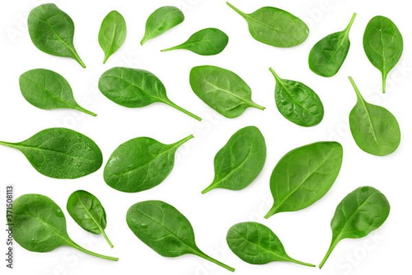 Obraz spinach leaves isolate on white background. Healthy food. Top view.