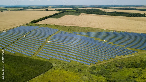 Obraz 
solar panels in the field