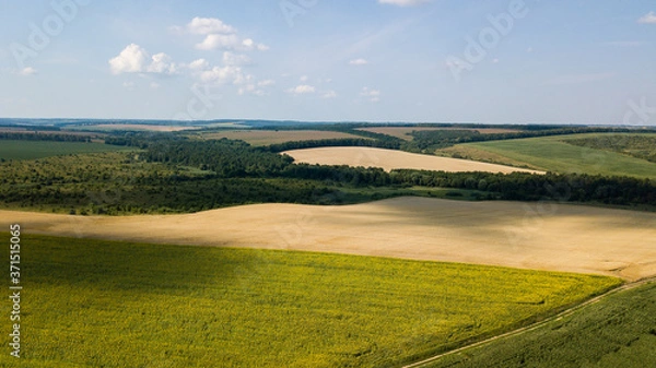Obraz landscape with river