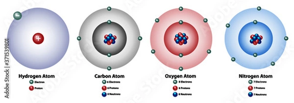 Obraz Atomic elements showing the nucleus and shells, numbers of electrons, protons, and neutrons. Hydrogen, carbon, oxygen, and nitrogen.
