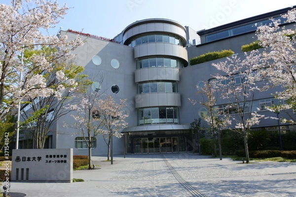 Obraz 日本大学