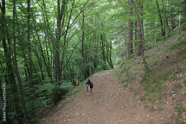 Obraz aroud the world