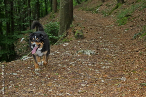 Obraz aroud the world