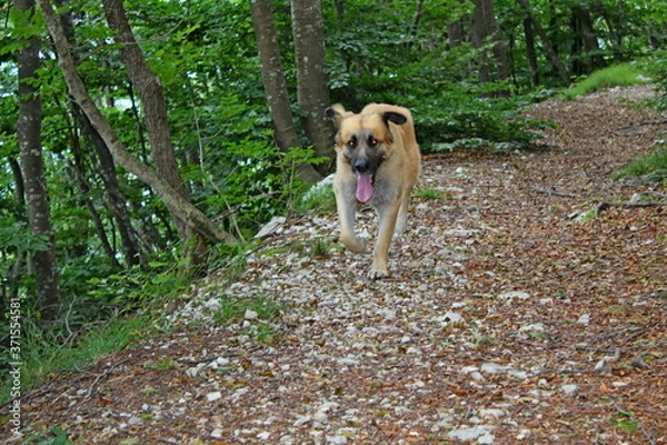 Obraz aroud the world