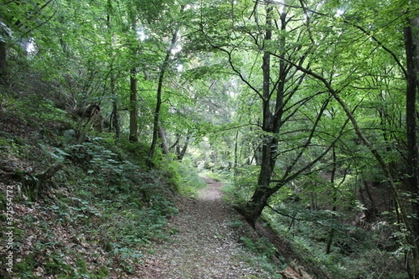 Obraz aroud the world