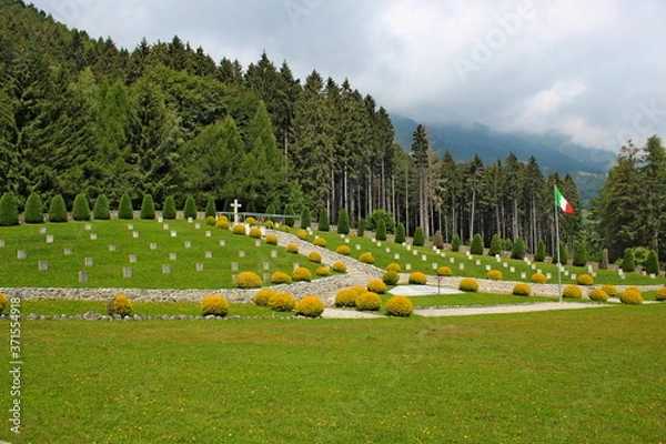 Obraz aroud the world