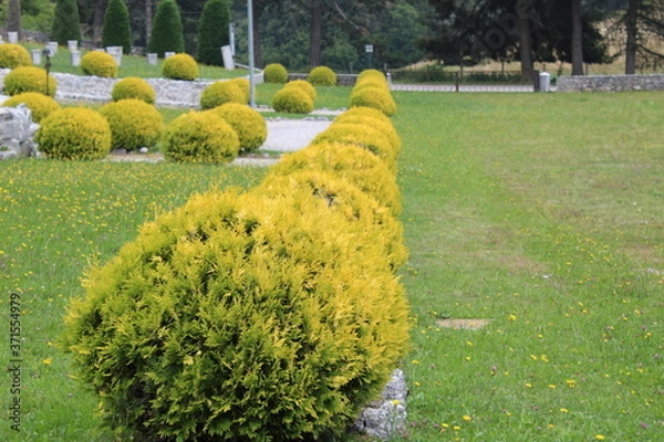 Obraz aroud the world