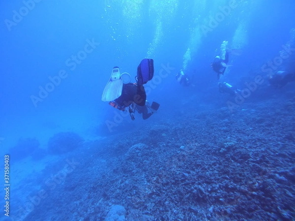 Obraz scuba divers