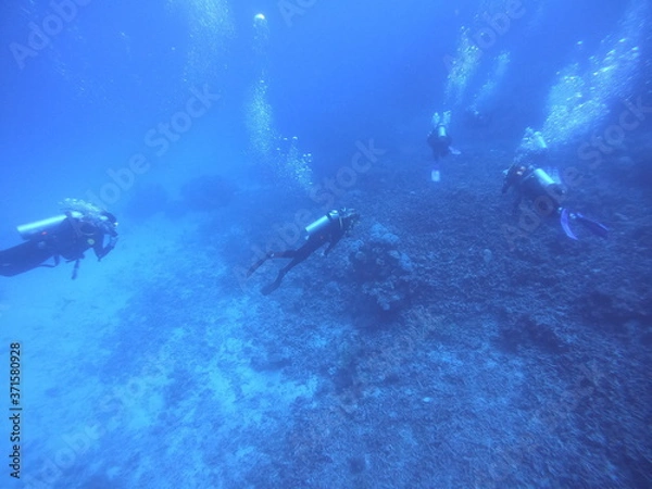 Obraz scuba divers