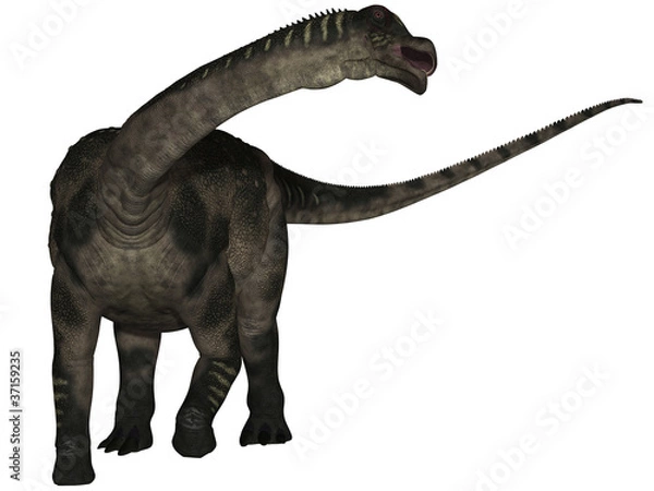 Obraz Antarctosaurus wichmannianus - 3D Dinosaurier
