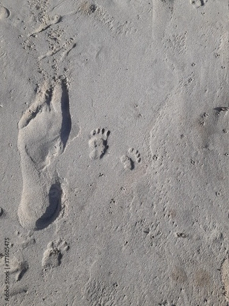 Obraz Footprints in the sand