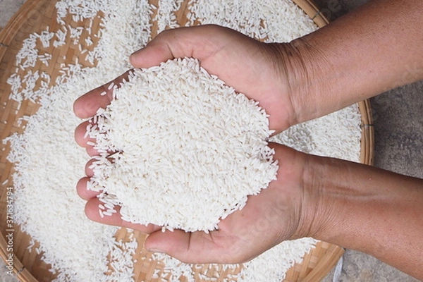 Obraz Grain rice in the hands, food for life concept.