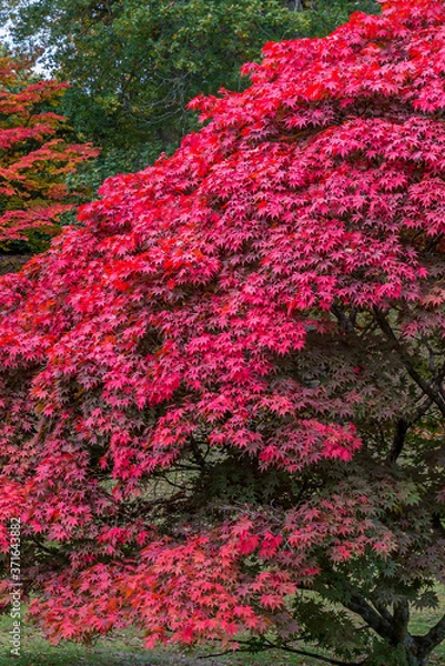 Obraz Autumn Colours