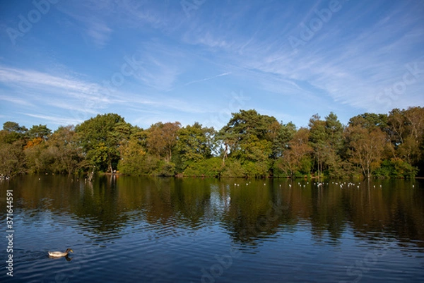 Fototapeta Autumn Colours
