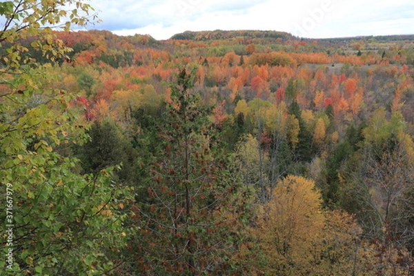 Obraz カナダのトロント近郊のモノクリフス州立公園　Mono Cliffs Provincial Parkの秋、紅葉