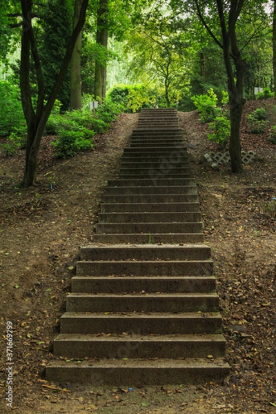 Fototapeta Schody w parku Dolina 3 stawy