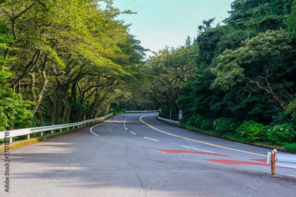 Obraz 箱根ターンパイク