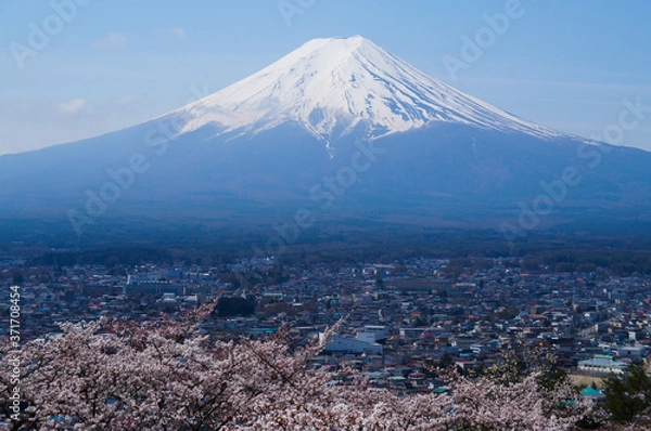 Obraz 桜と富士山
