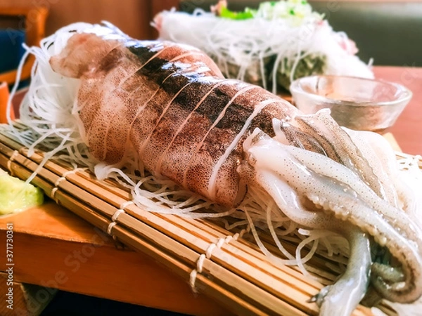 Obraz イカの姿造り