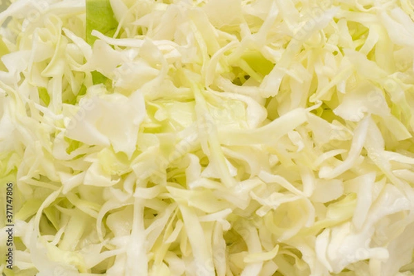 Fototapeta 山盛りの千切りキャベツ