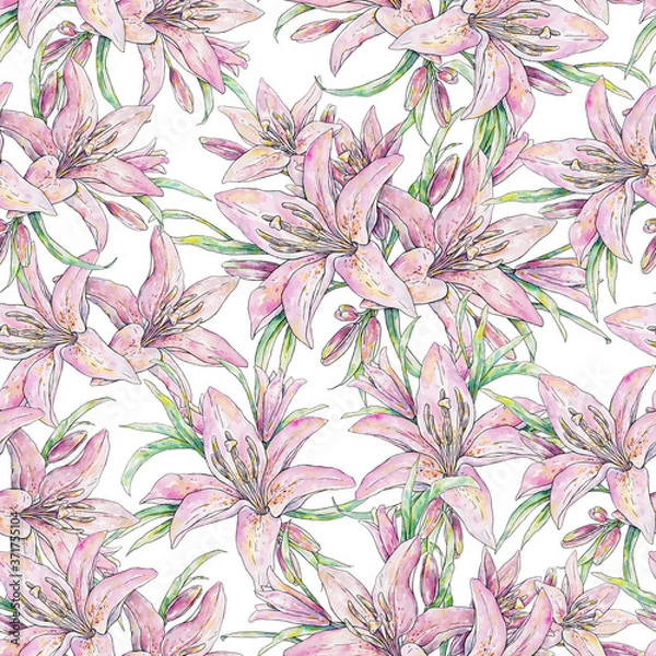 Fototapeta Pink lily flowers isolated on white background. Watercolor handwork illustration. Draw of blooming lily. Seamless pattern for design
