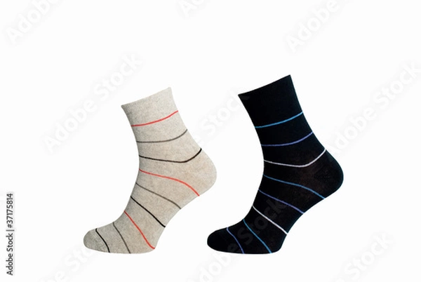 Obraz Socks