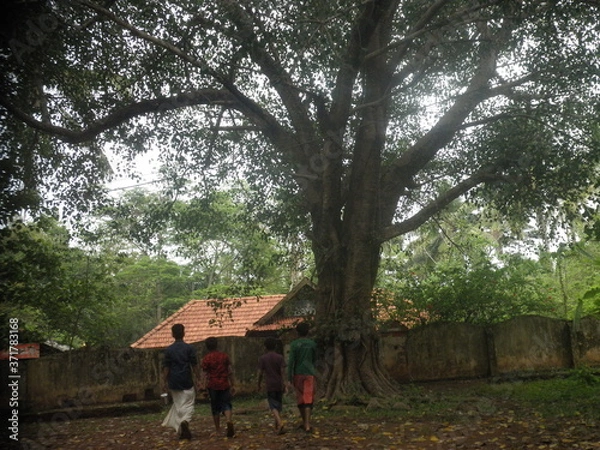 Obraz old farm house