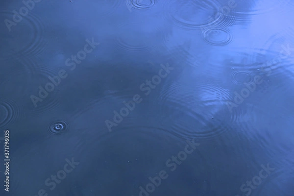 Obraz 雨の日の地面