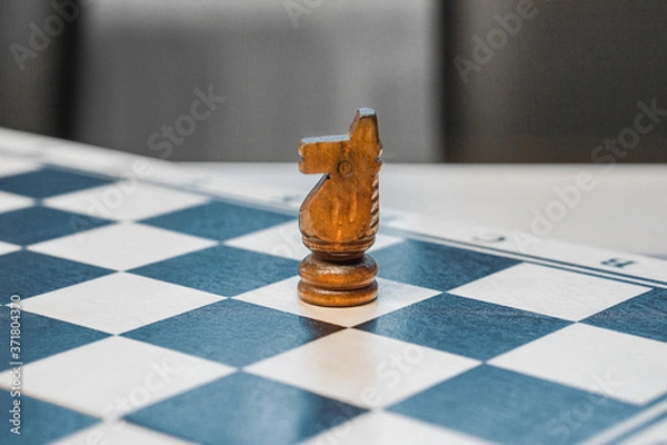 Fototapeta chessman knight on a chessboard