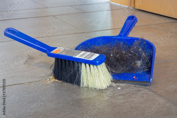 Fototapeta dustpan and brush with hair of a dog