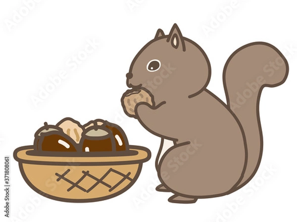 Fototapeta 木の実を食べるリス