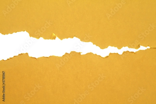 Obraz Zerrissenes Papier