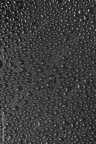 Obraz Water droplets on black background. Close-up photo of small water drops on black background.