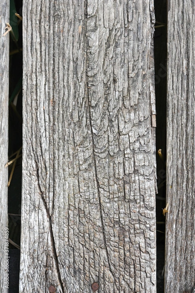 Fototapeta Old wooden board