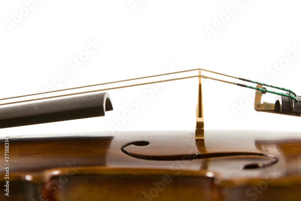 Fototapeta Vintage viola bridge with strings