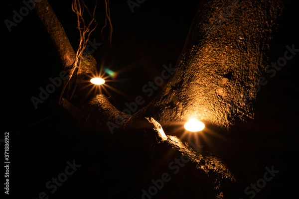 Obraz Candles in a tree