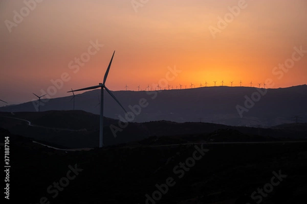 Obraz sunset with wind turbines
