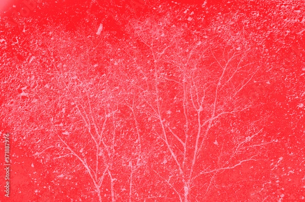 Fototapeta abstract red, pink and coral colors background for design