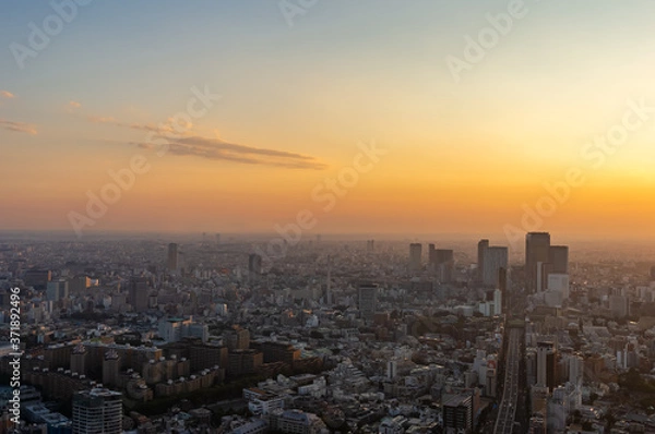 Obraz 東京都港区六本木の高層ビルの展望台から見た夕方の東京の都市景観