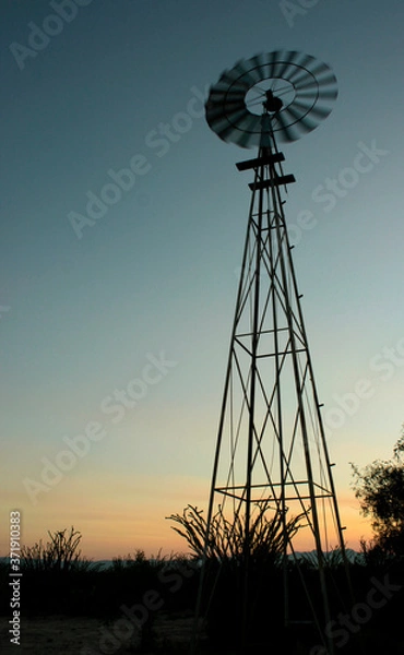Obraz Papalote, molino de viento