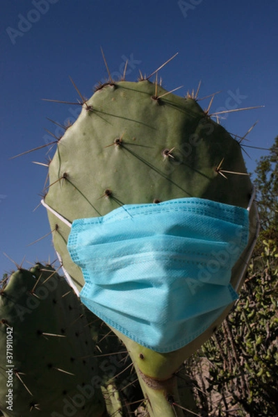 Obraz Nopal con tapabocas