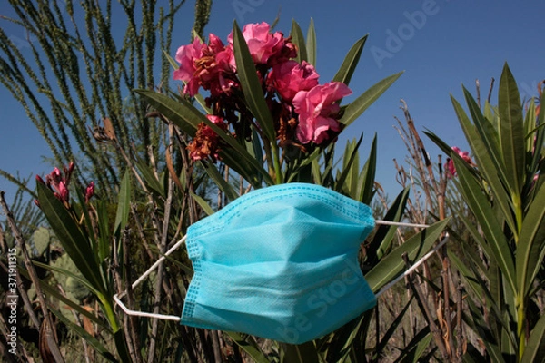 Obraz Cubre boca y flores