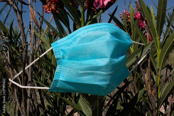 Obraz Flores y tapaboca