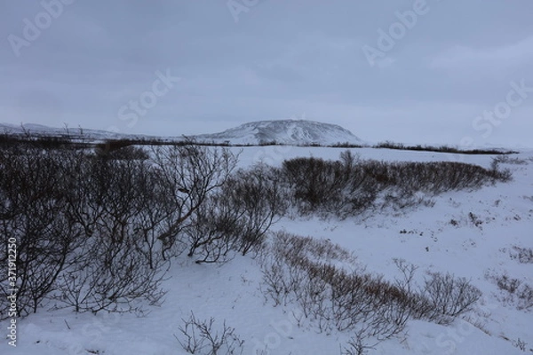 Obraz アイスランドの火山