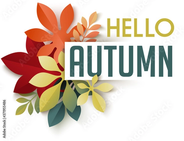 Fototapeta Autumn themed header. Composition of colorful fall leaves and branches. Design template for seasonal sale poster, banner, promotion announcement. Geometric flat style vector illustration