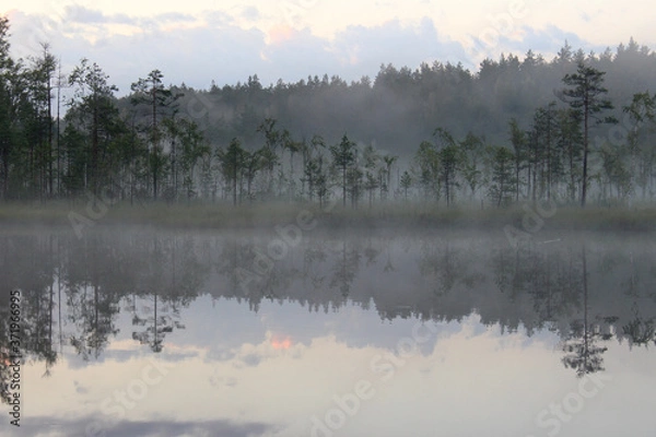 Obraz fog over the lake