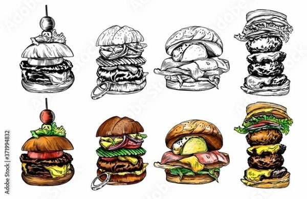 Obraz Illustration of different burgers. with detailed drawing in the style of the sketch. Color and black-and-white burgers.